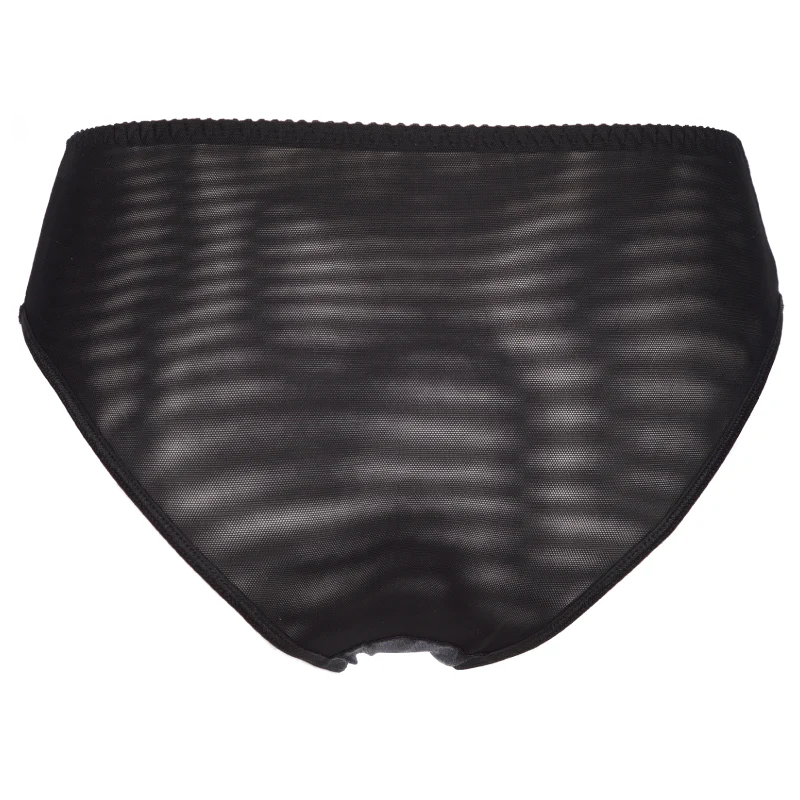 Axami Shimmer Sheer Bikini Panty - Image 4