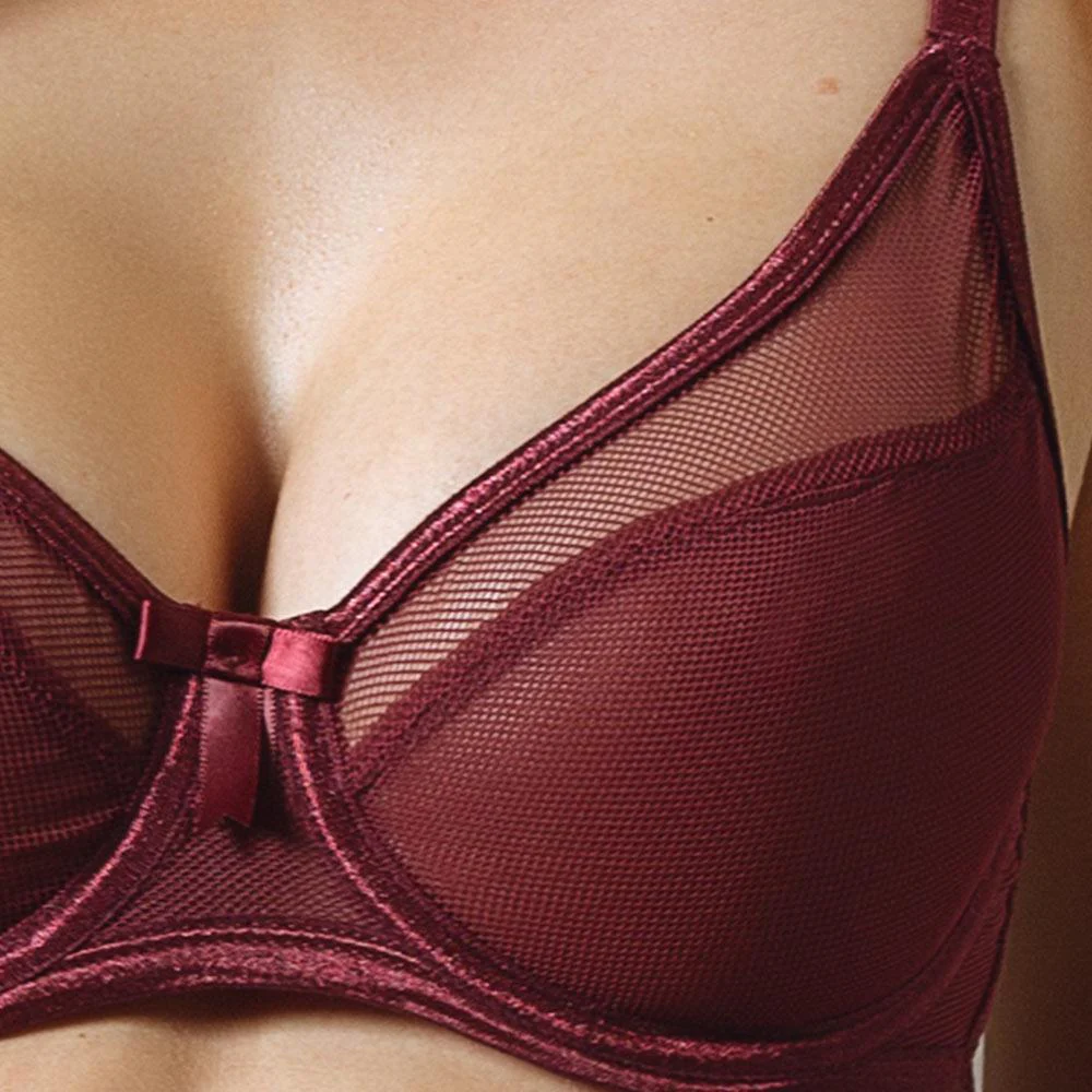 Sexy Fishnet Sheer Bra Claudette Rouge Noir - Image 3