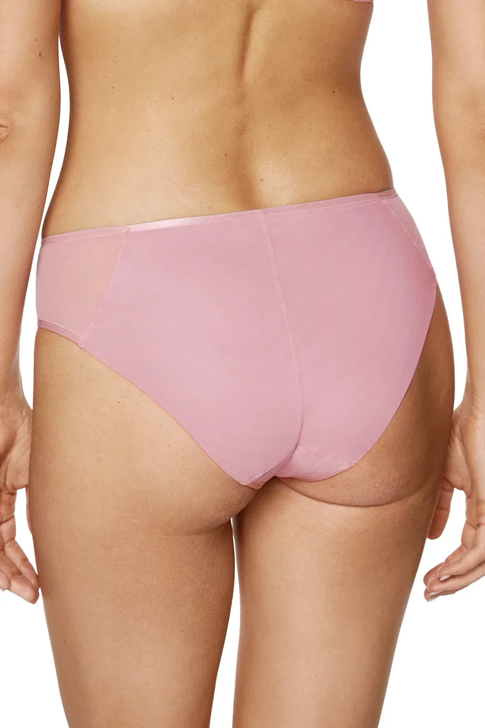 Gorteks Bloom Floral Embroidery Bikini Panty - Image 2