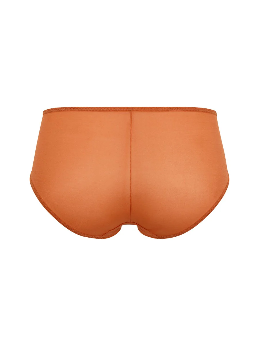 Gossard Glossies Sunkissed Sheer Short Panty - Image 4
