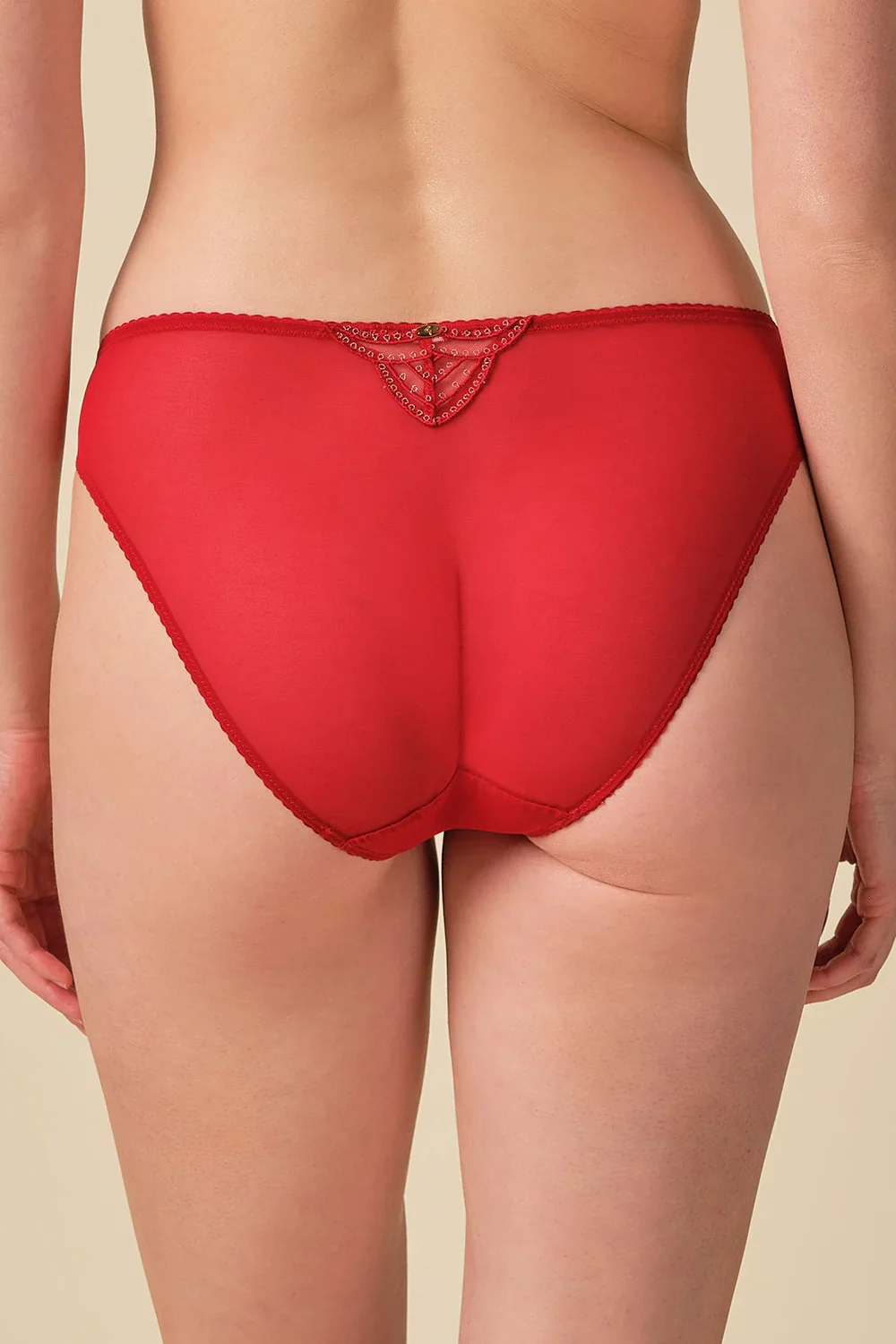 Gossard Viva Red Sheer Embroidered Bikini Panties - Image 2
