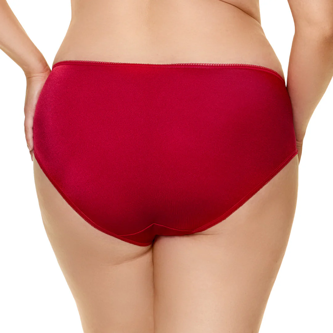 Gorteks Sierra Low Rise Bikini Panty - Image 6