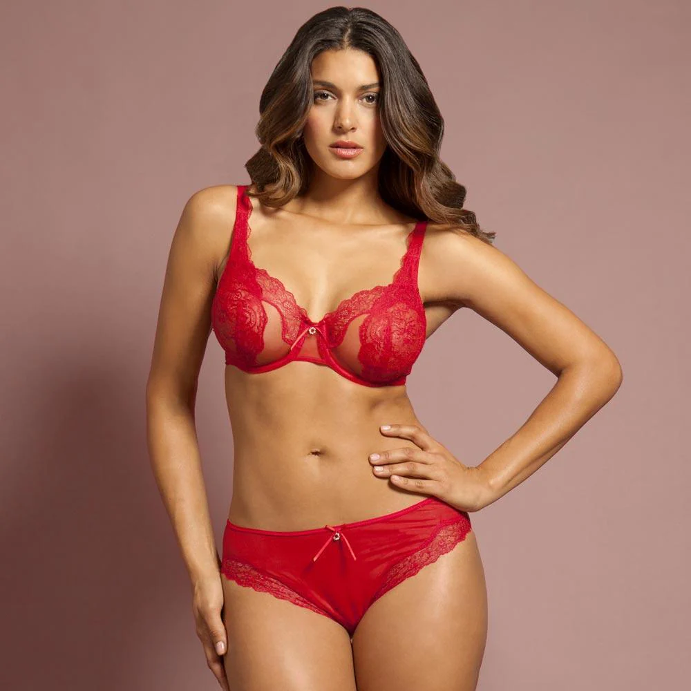 Sheer Lace Bikini Panty Lunaire Ashley - Image 3