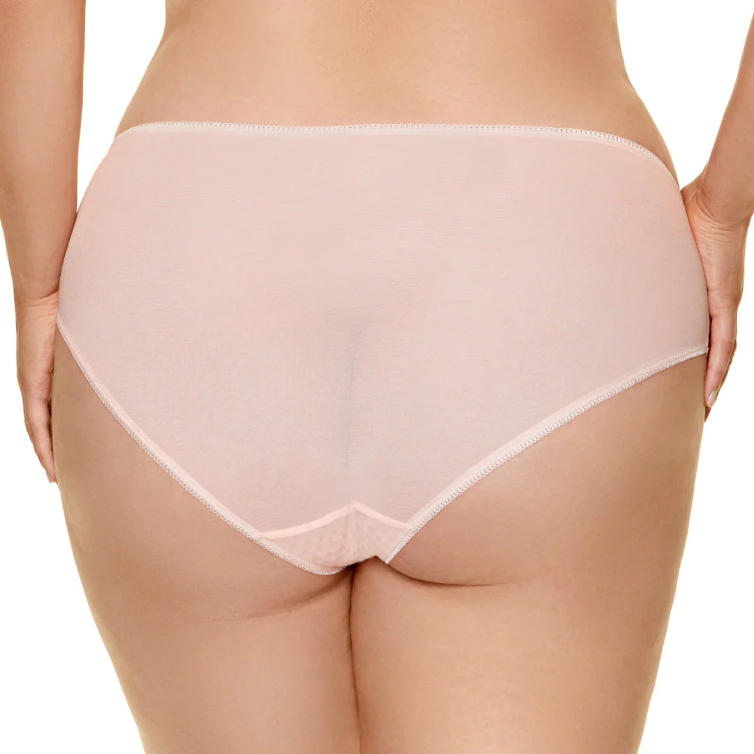Gorteks Bari Semi-Sheer Lace Bikini Panty - Image 6
