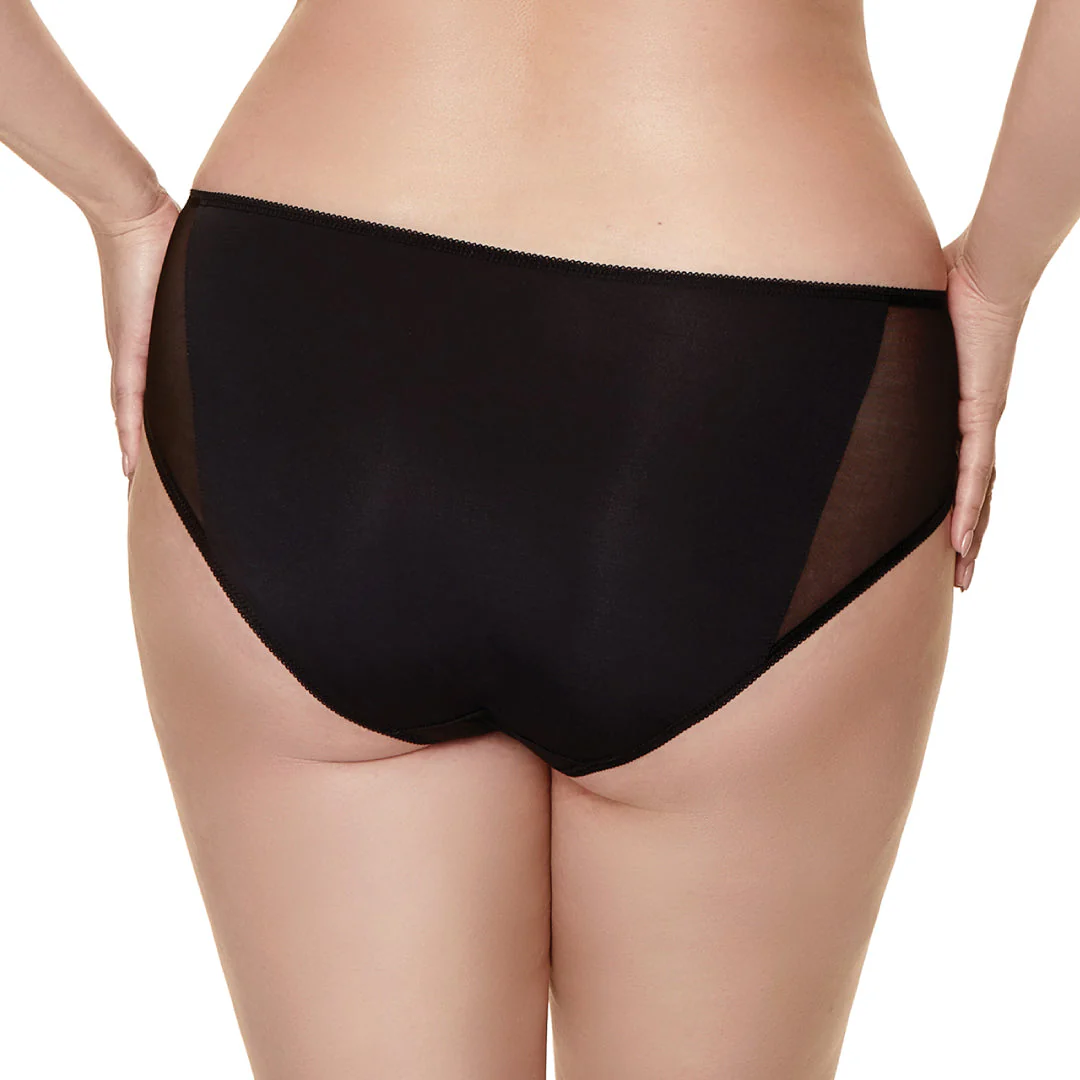 Gorteks Salve Semi Sheer Lace Bikini Panty - Image 4