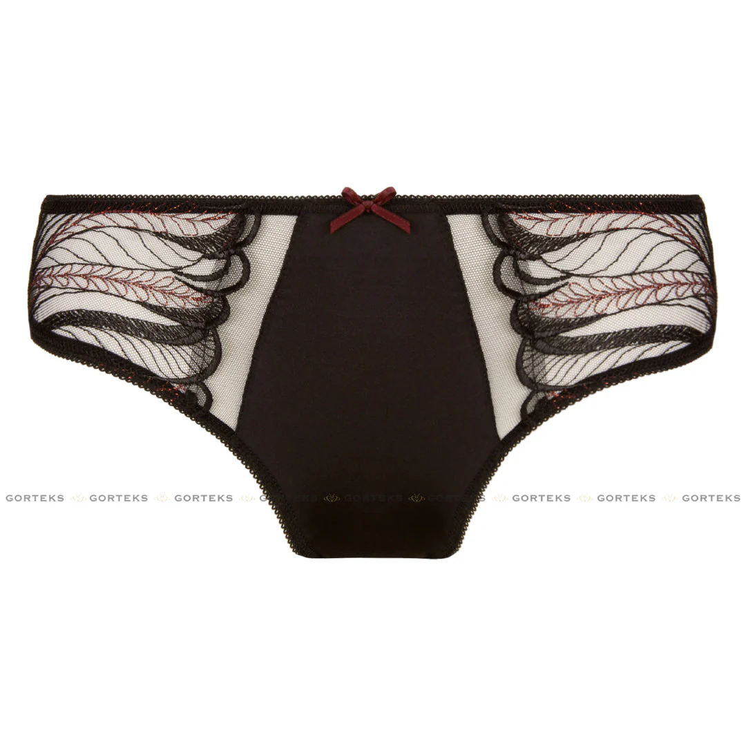 Gorteks Salve Semi Sheer Lace Bikini Panty - Image 5
