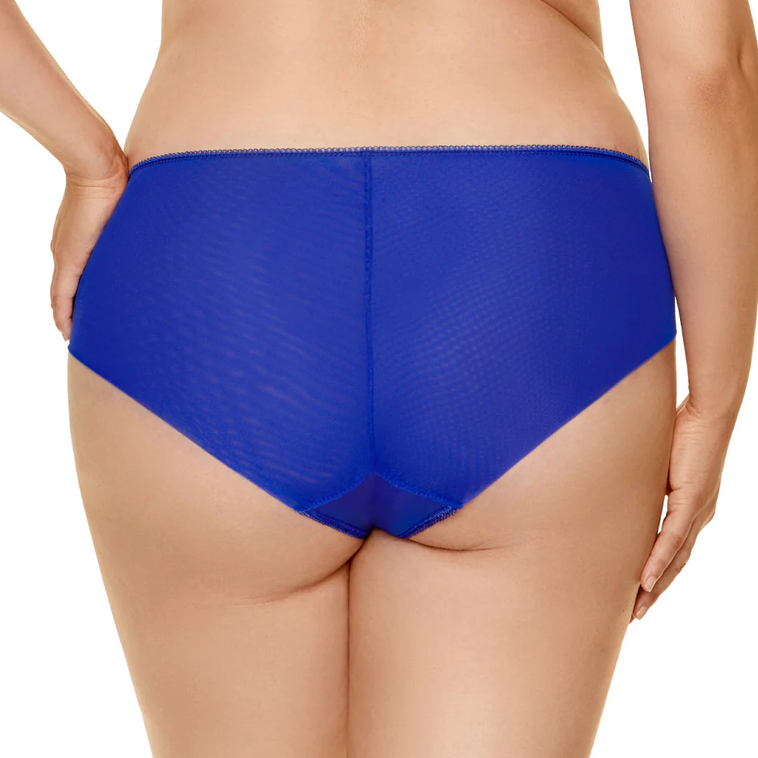 Gorteks Pamela Sapphire Semi Sheer Low Rise Bikini Panty - Image 6
