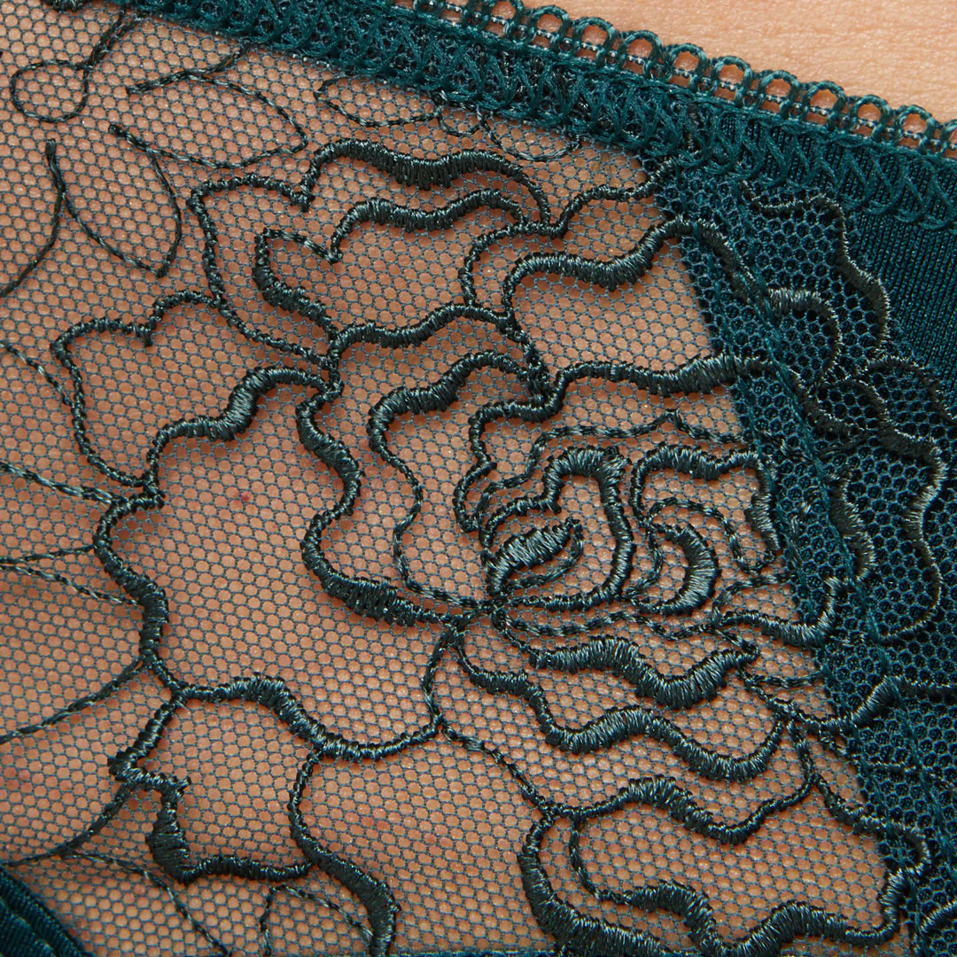 Gorteks Pamela Pine Green Semi Sheer Low Rise Bikini Panty - Image 5