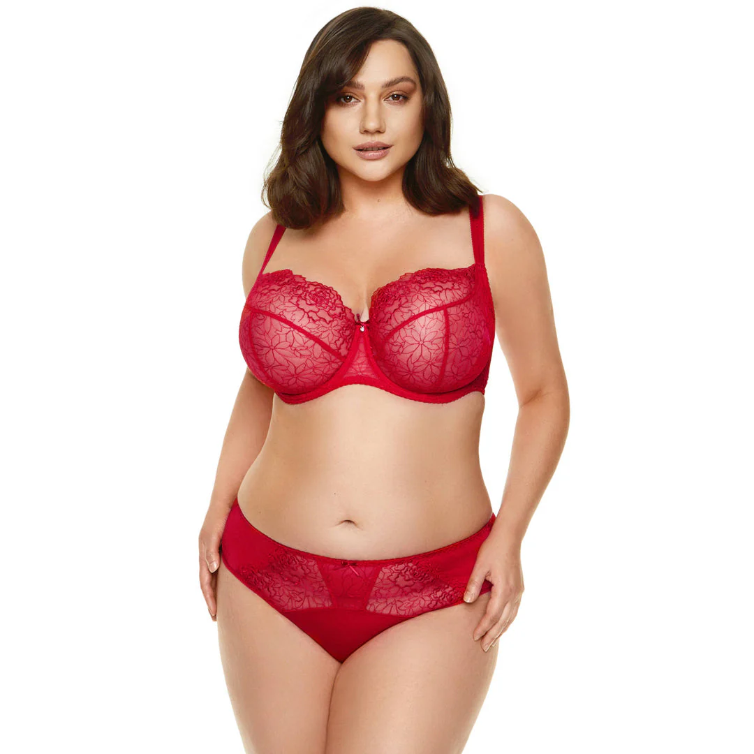 Gorteks Pamela Red Semi Sheer Low Rise Bikini Panty - Image 7