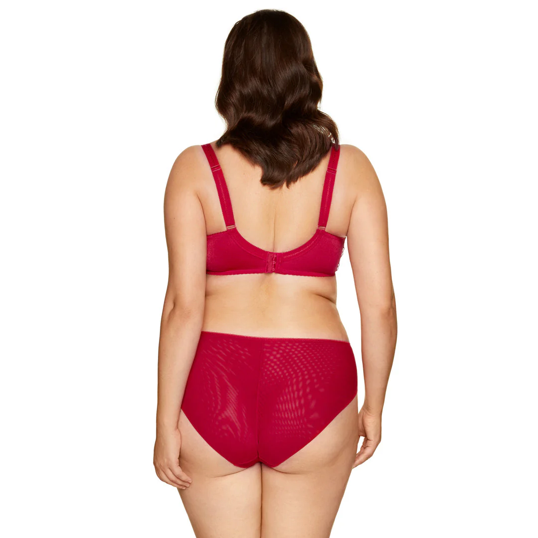 Gorteks Pamela Red Semi Sheer Low Rise Bikini Panty - Image 8