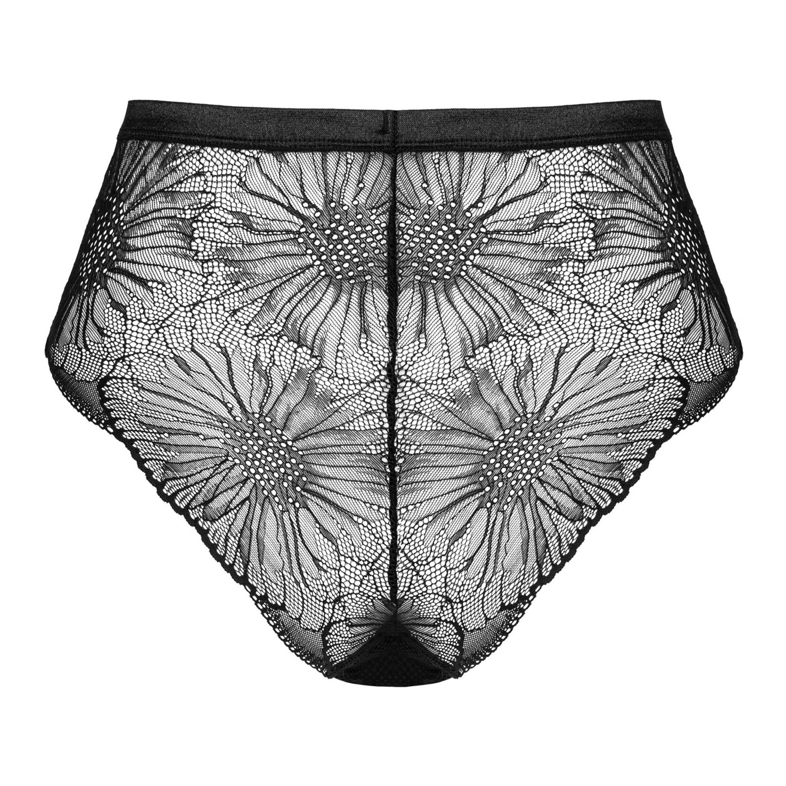Obsessive Mibelia Lace Cutout Panty - Image 4
