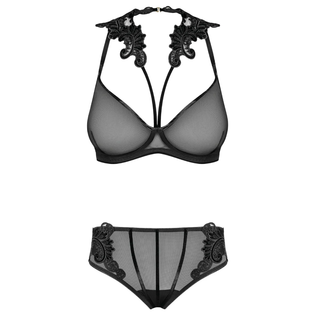Sexy Sheer Demi Bra & Mesh Bikini Panty Set Majesty - Image 3