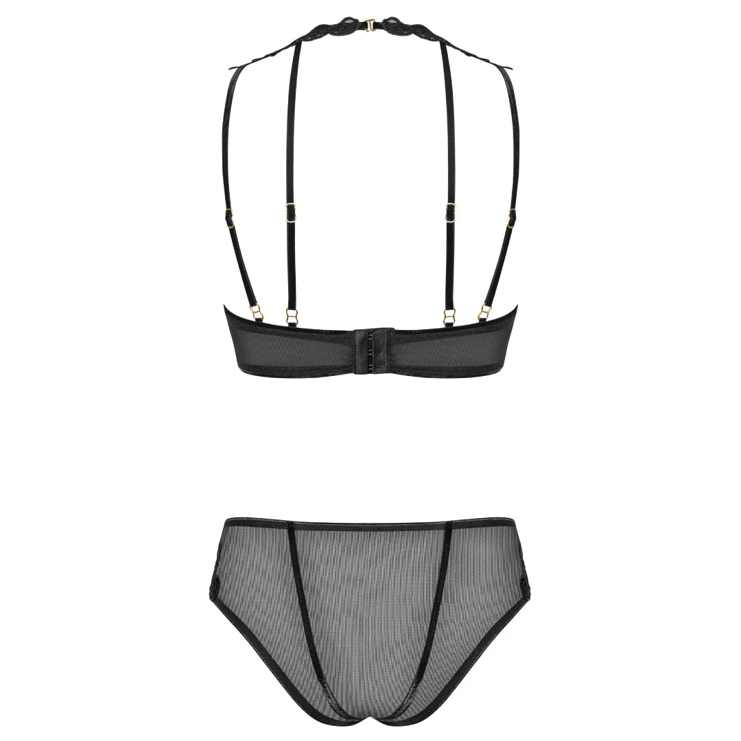 Sexy Sheer Demi Bra & Mesh Bikini Panty Set Majesty - Image 4
