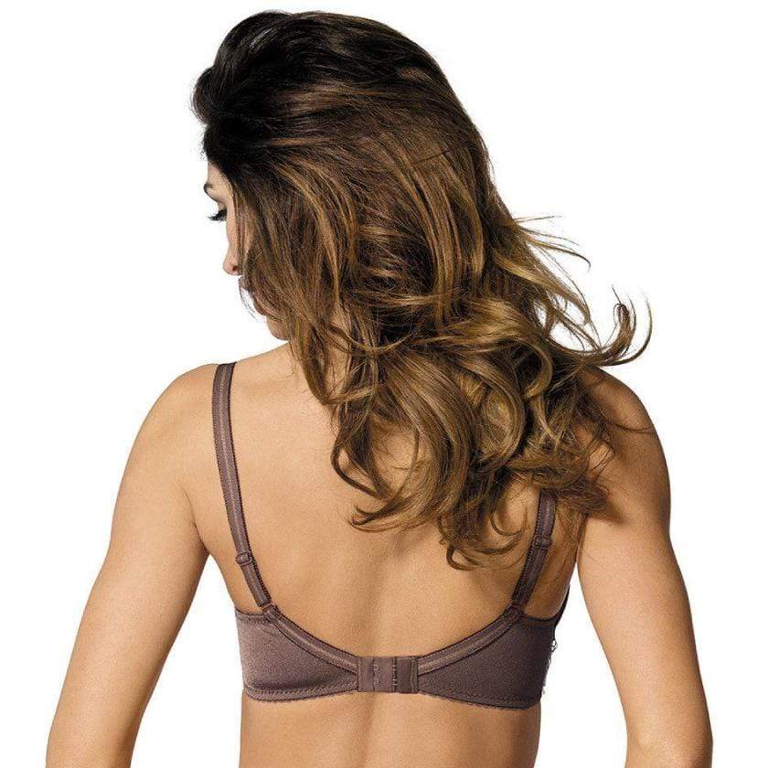 Gorteks Pamela Mocha Sheer Mesh Balconette Bra - Image 3