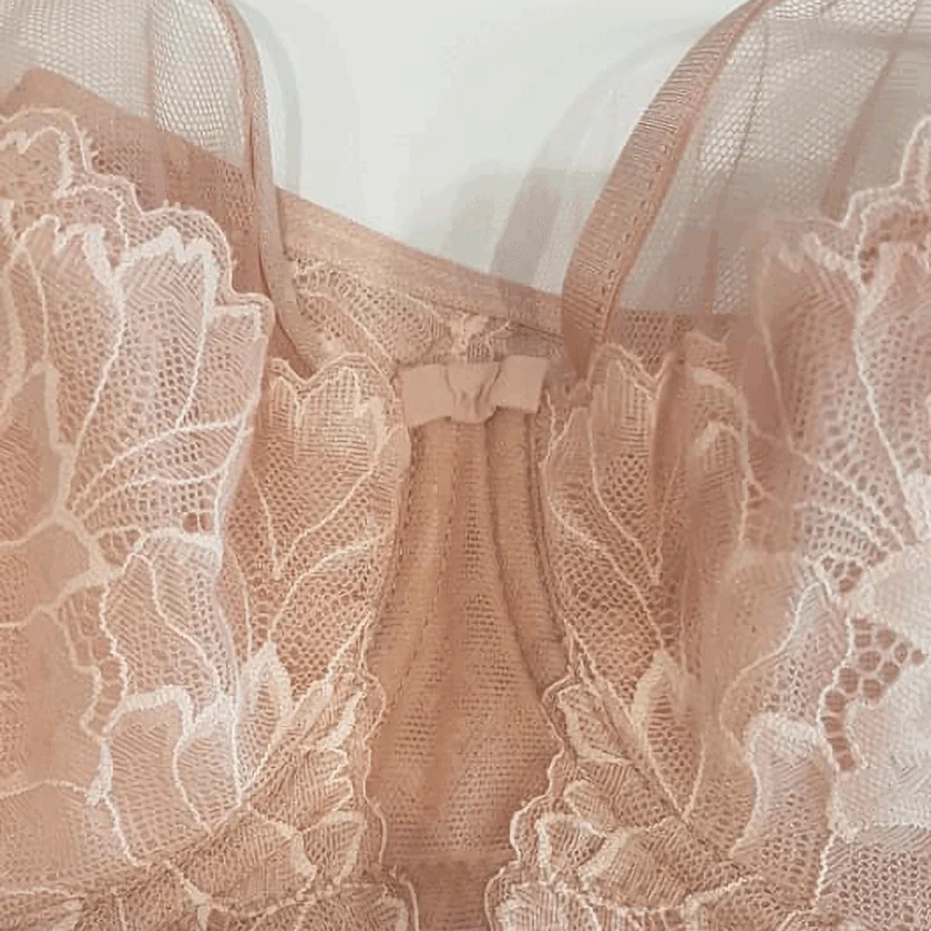 Sheer Lace Full Figure Bra Demeter Pink - Image 6