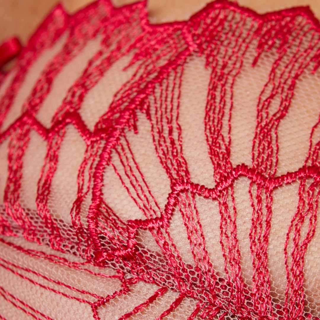 Gorteks Sierra Sheer Mesh Embroidery Full Coverage Bra - Image 6