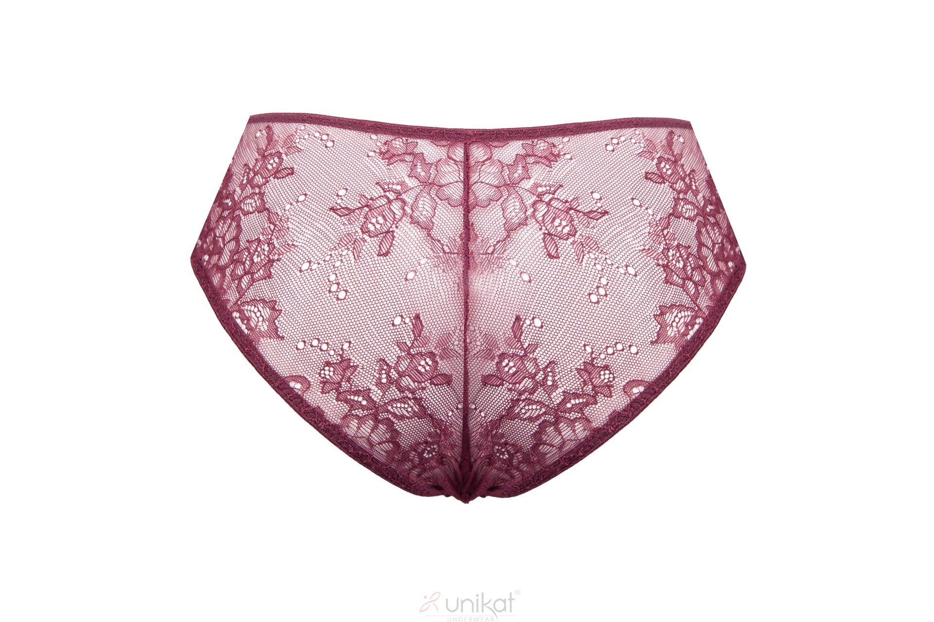 Unikat Caro Sheer Mesh Lace Low Rise Bikini Panty - Image 3