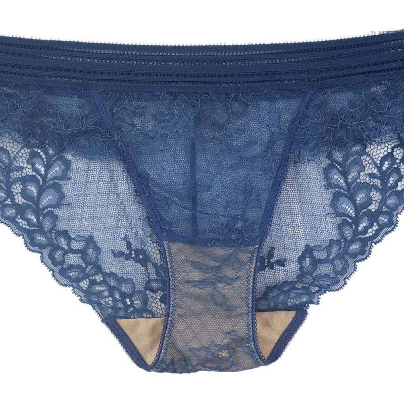 Sheer Lace Bikini Panty Sawren Wish - Image 5