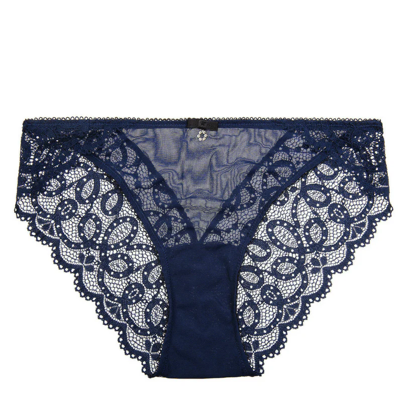 Sheer Mesh Bikini Panty Montelle Twilight - Image 2