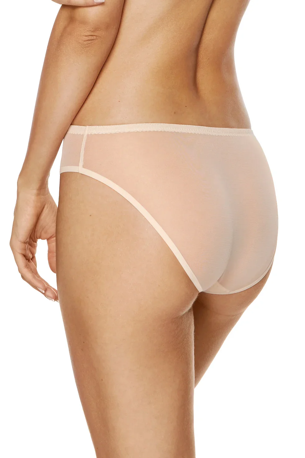 Gorteks Soleil Sheer Mesh Embroidered Bikini Panty - Image 2