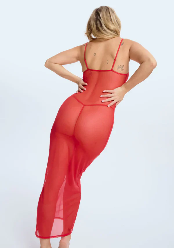 Blush The Mesh Red Sheer Mesh Stretch Maxi Dress - Image 2