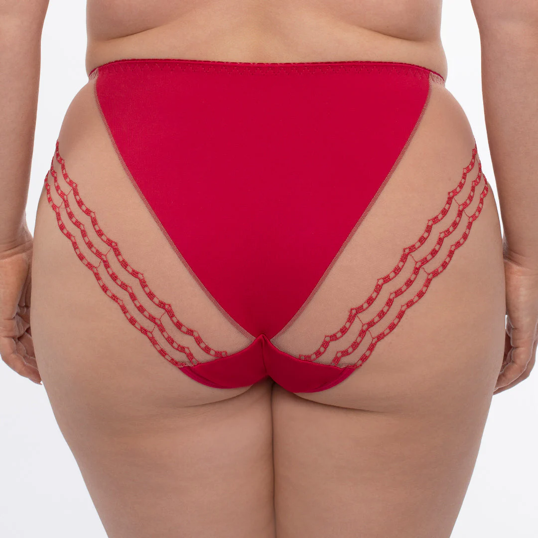 Samanta Daniela Red Sheer Mesh Tulle Embroidered Bikini Panty - Image 2