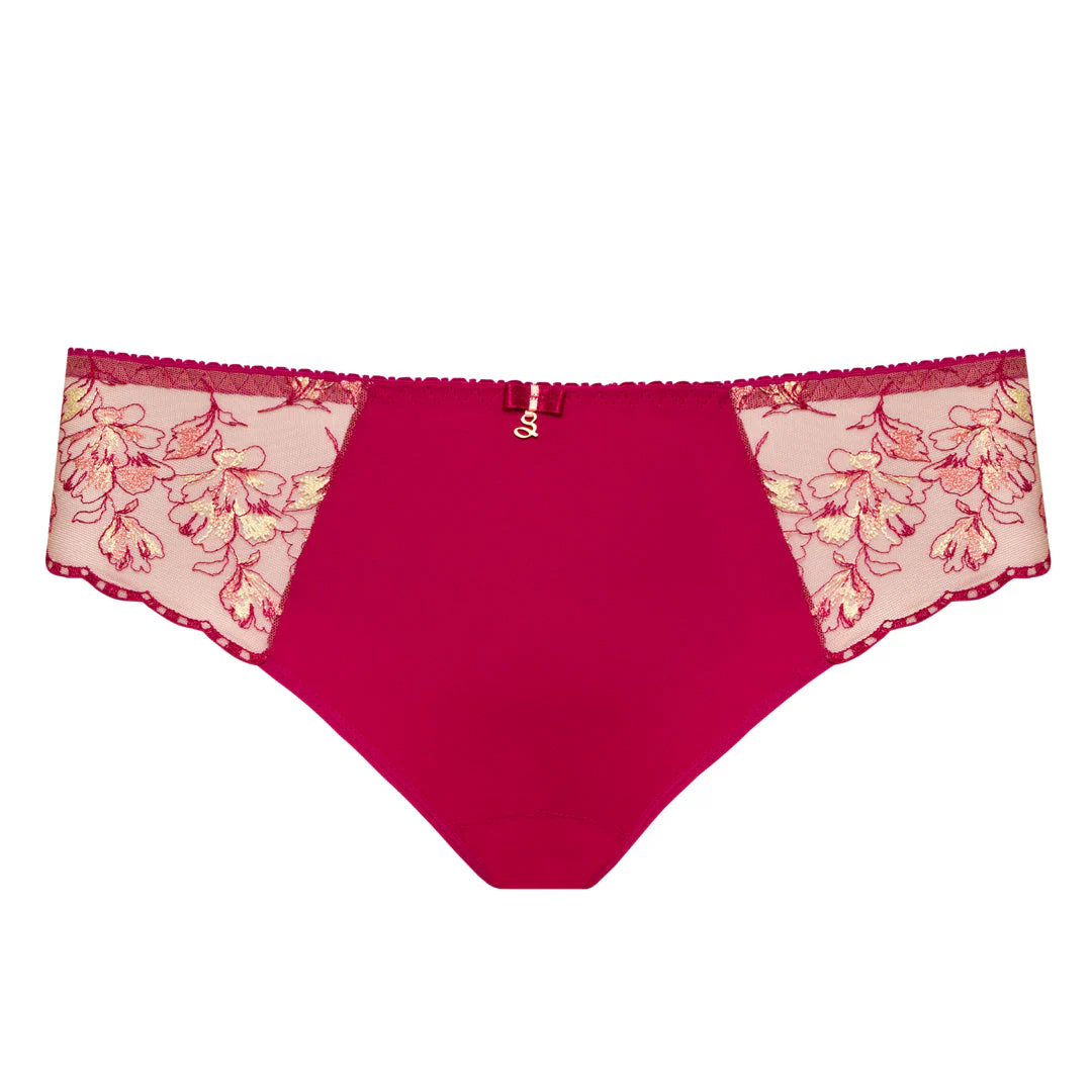 Samanta Daniela Red Sheer Mesh Tulle Embroidered Bikini Panty - Image 5