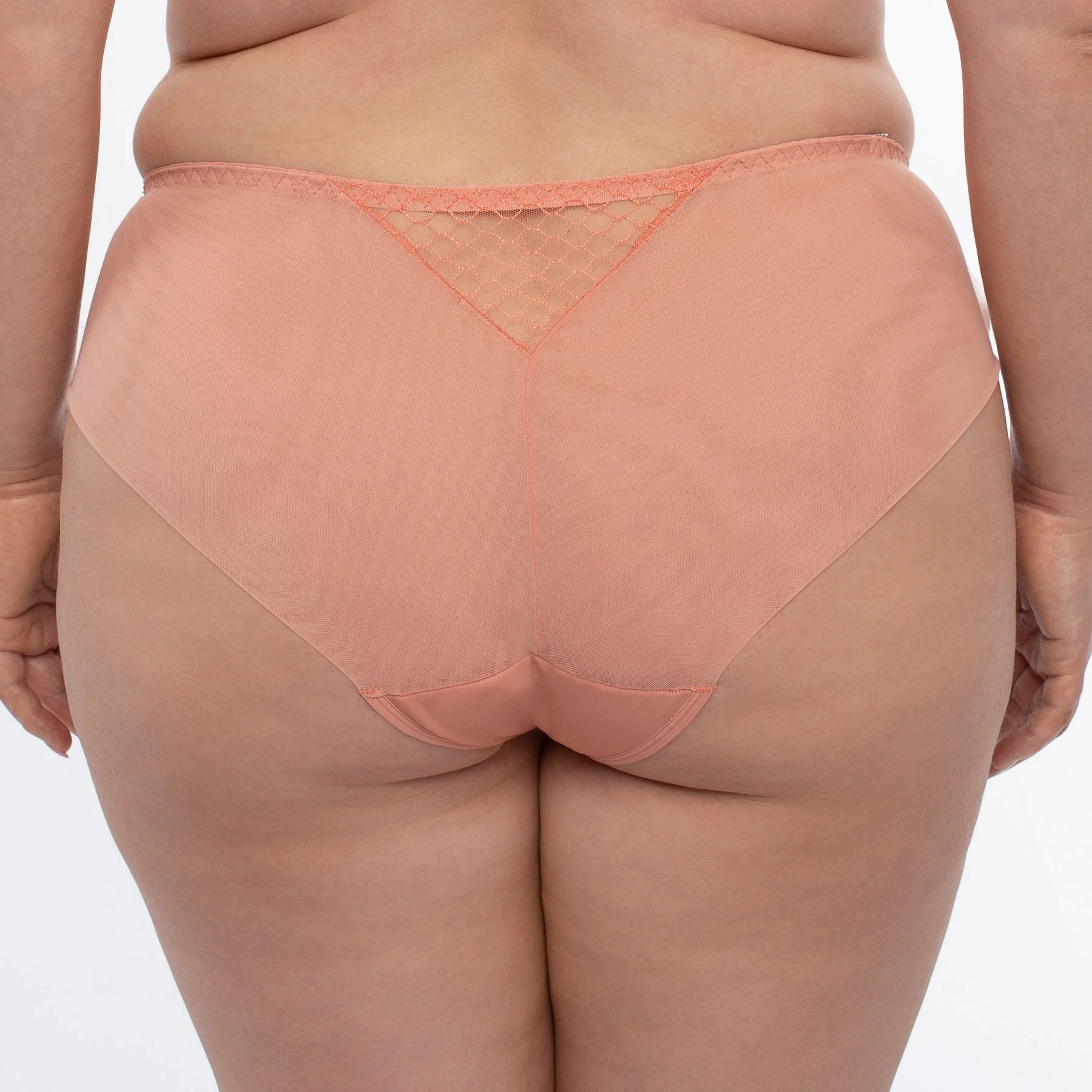 Samanta Lea Apricot Sheer Mesh Tulle Bikini Panty - Image 2