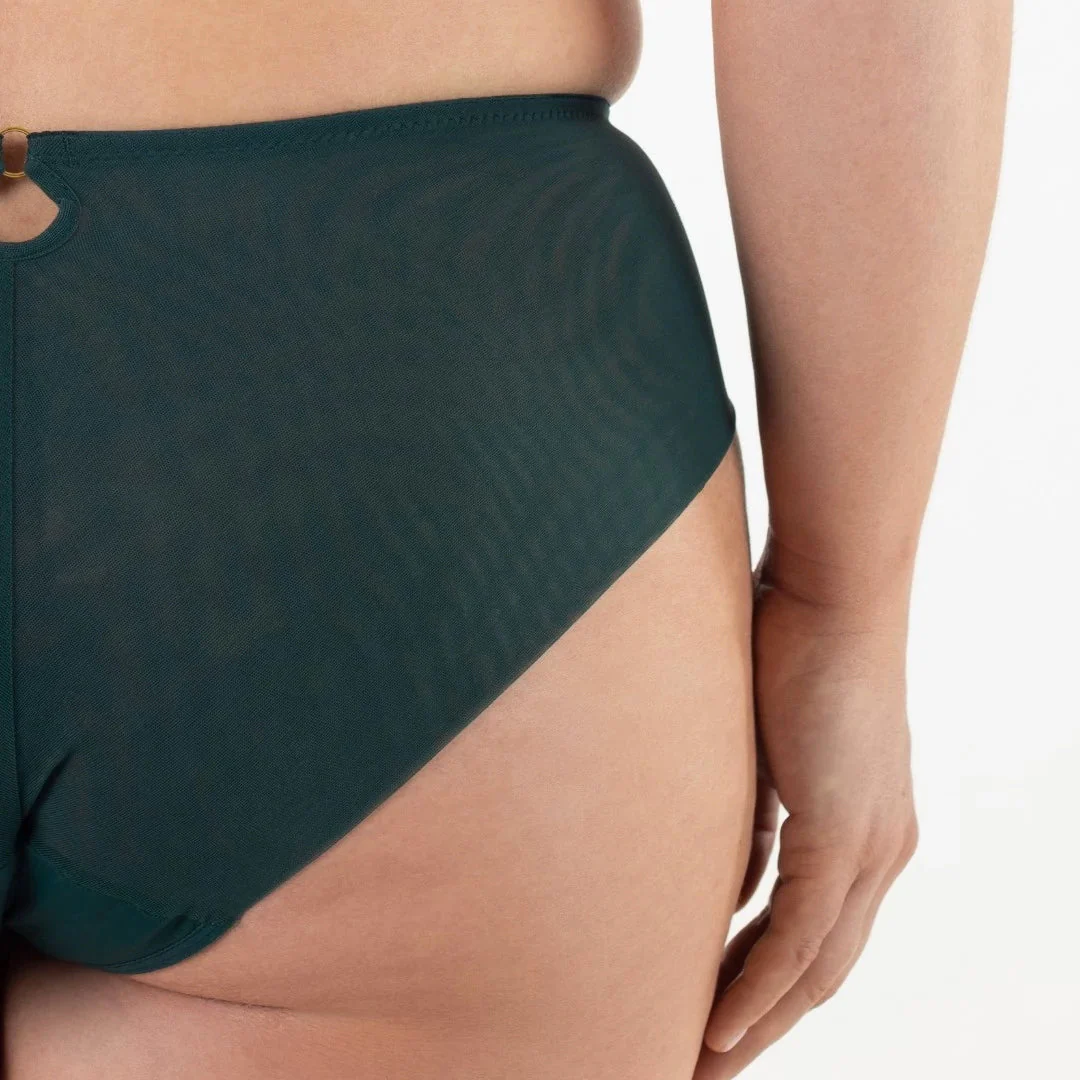 Samanta Boobie Emerald Sheer Mesh Tulle Embroidered Brief Panty - Image 5