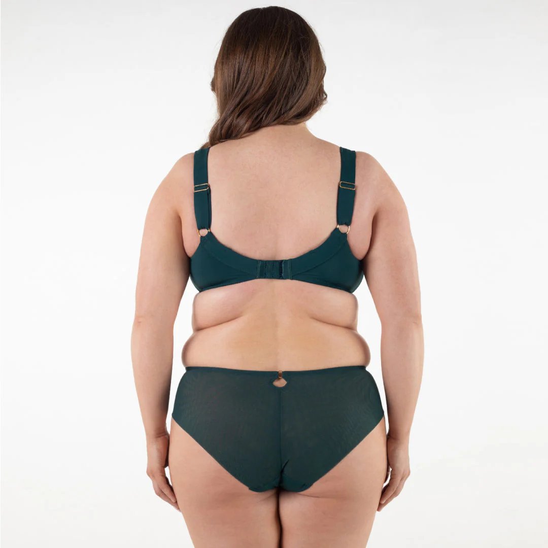 Samanta Boobie Emerald Sheer Mesh Tulle Embroidered Brief Panty - Image 7