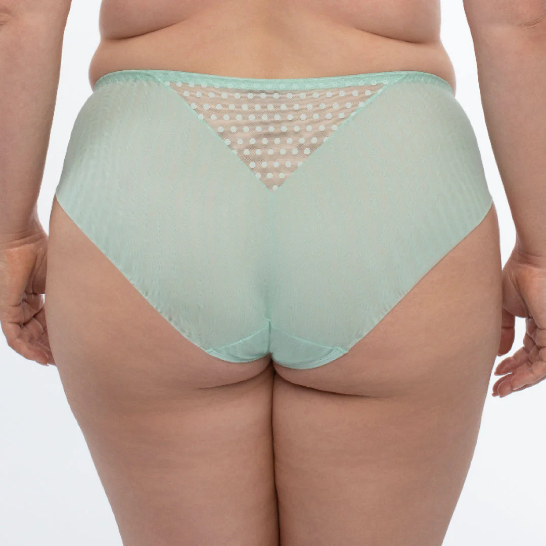Samanta Juno Mint Sheer Mesh Tulle Embroidered Bikini Panty - Image 2