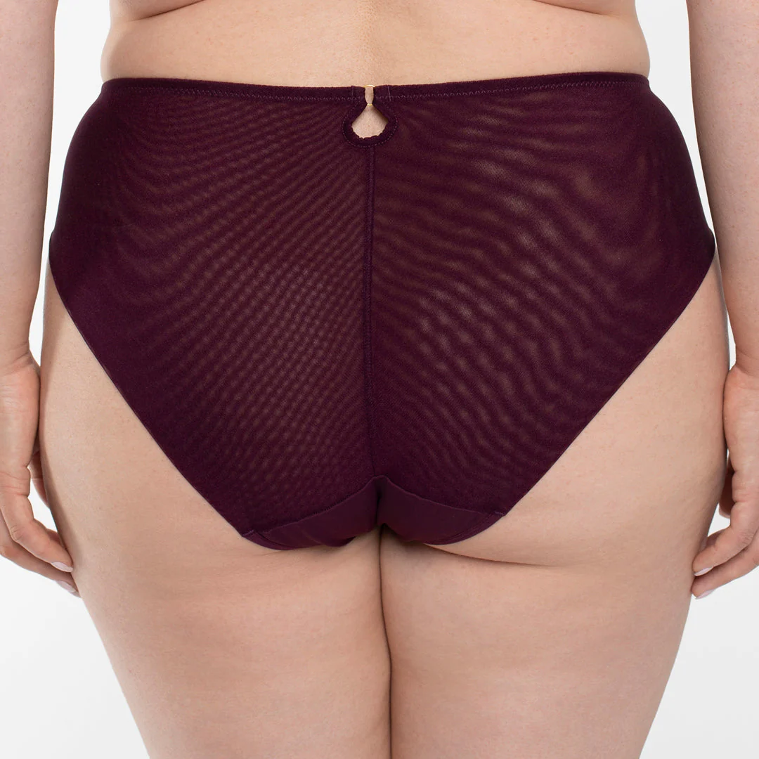 Samanta Perla Aubergine Sheer Mesh Tulle Embroidered Brief Panty - Image 2