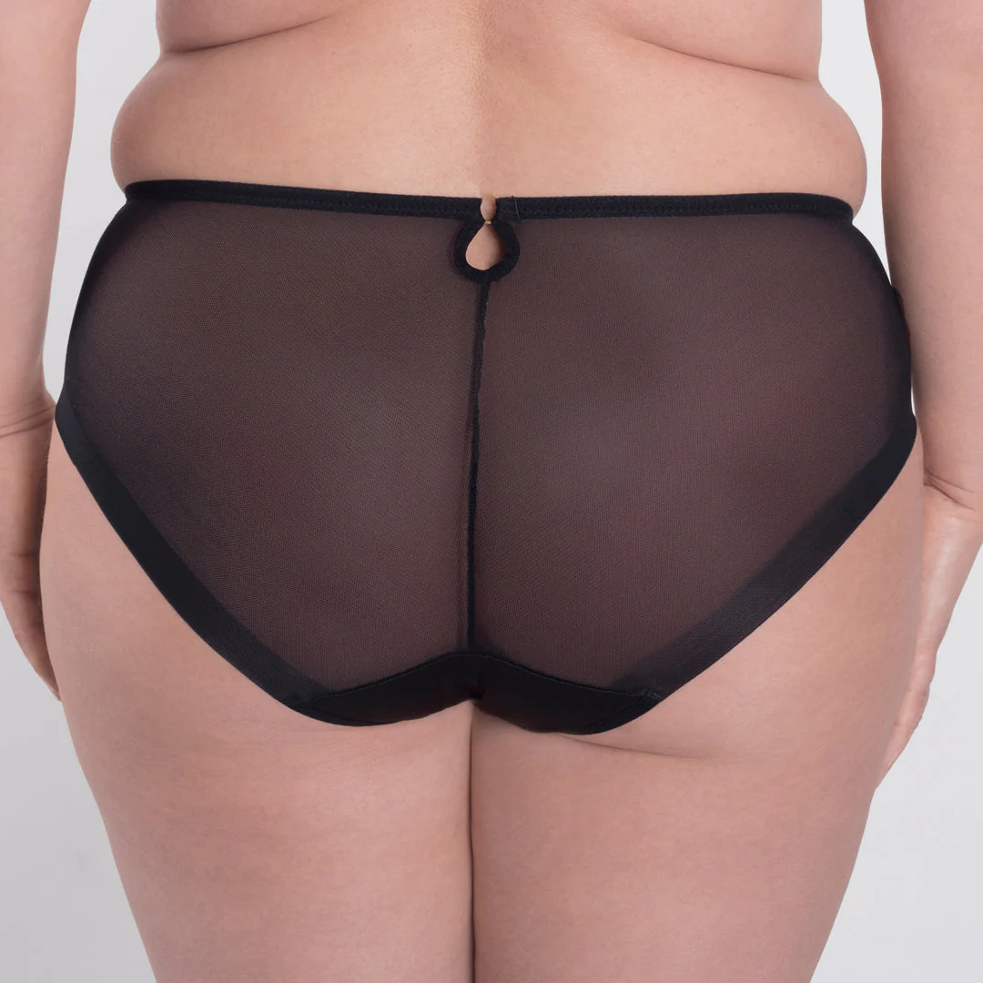 Samanta Perla Black Sheer Mesh Tulle Embroidered Brief Panty - Image 2
