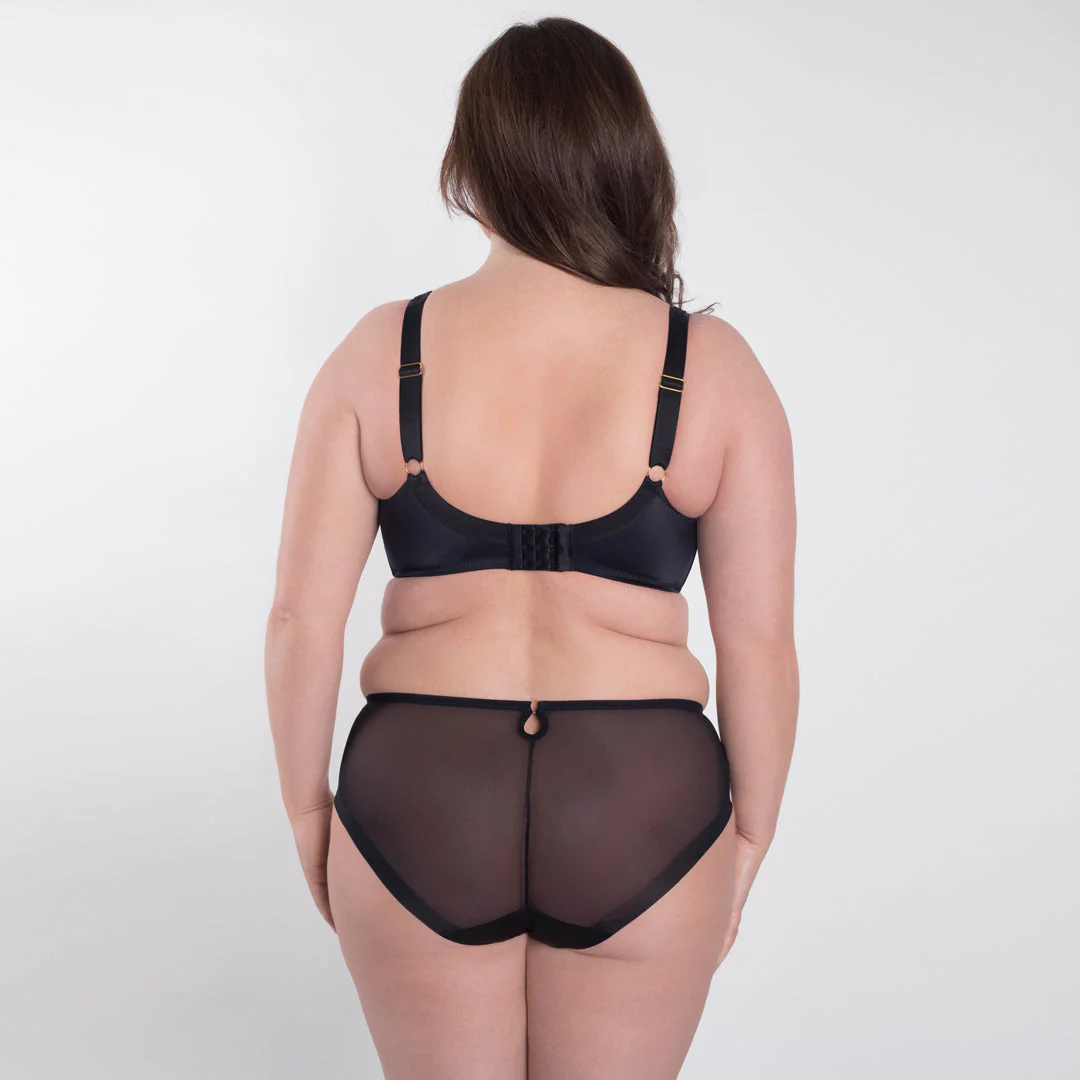 Samanta Perla Black Sheer Mesh Tulle Embroidered Brief Panty - Image 4