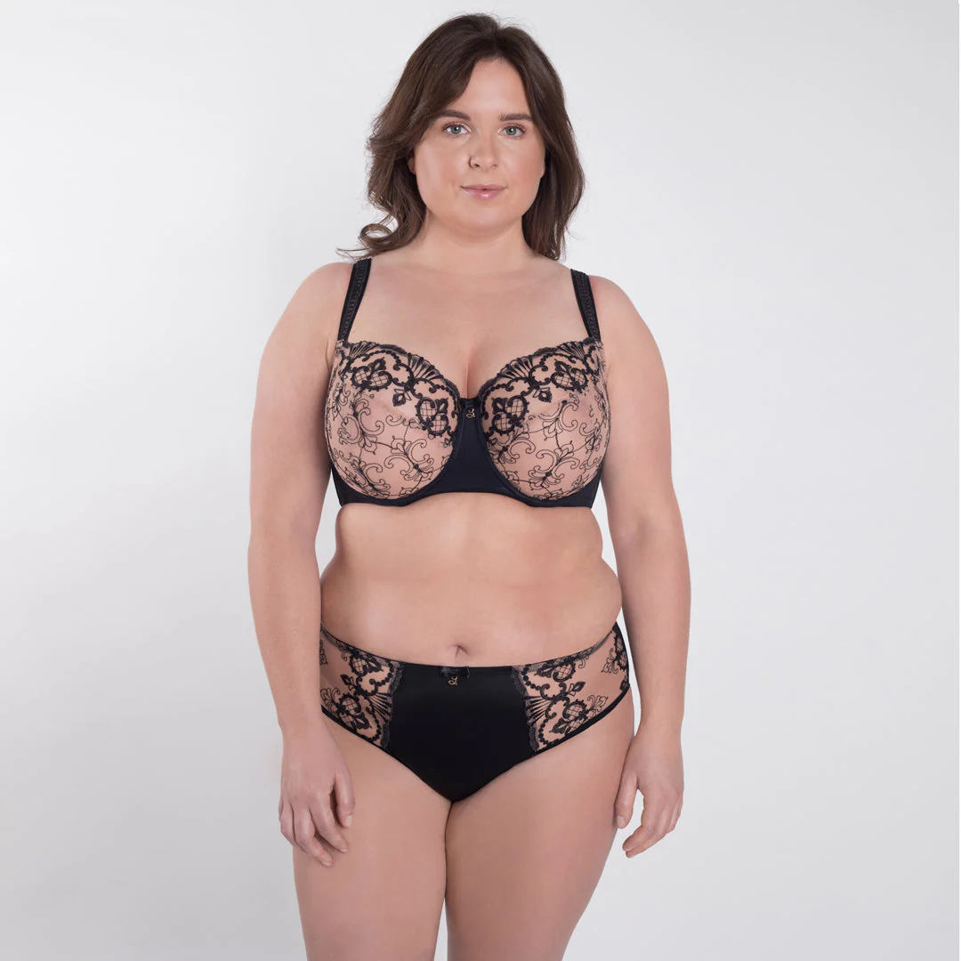 Samanta Perla Black Sheer Mesh Tulle Embroidered Brief Panty - Image 5