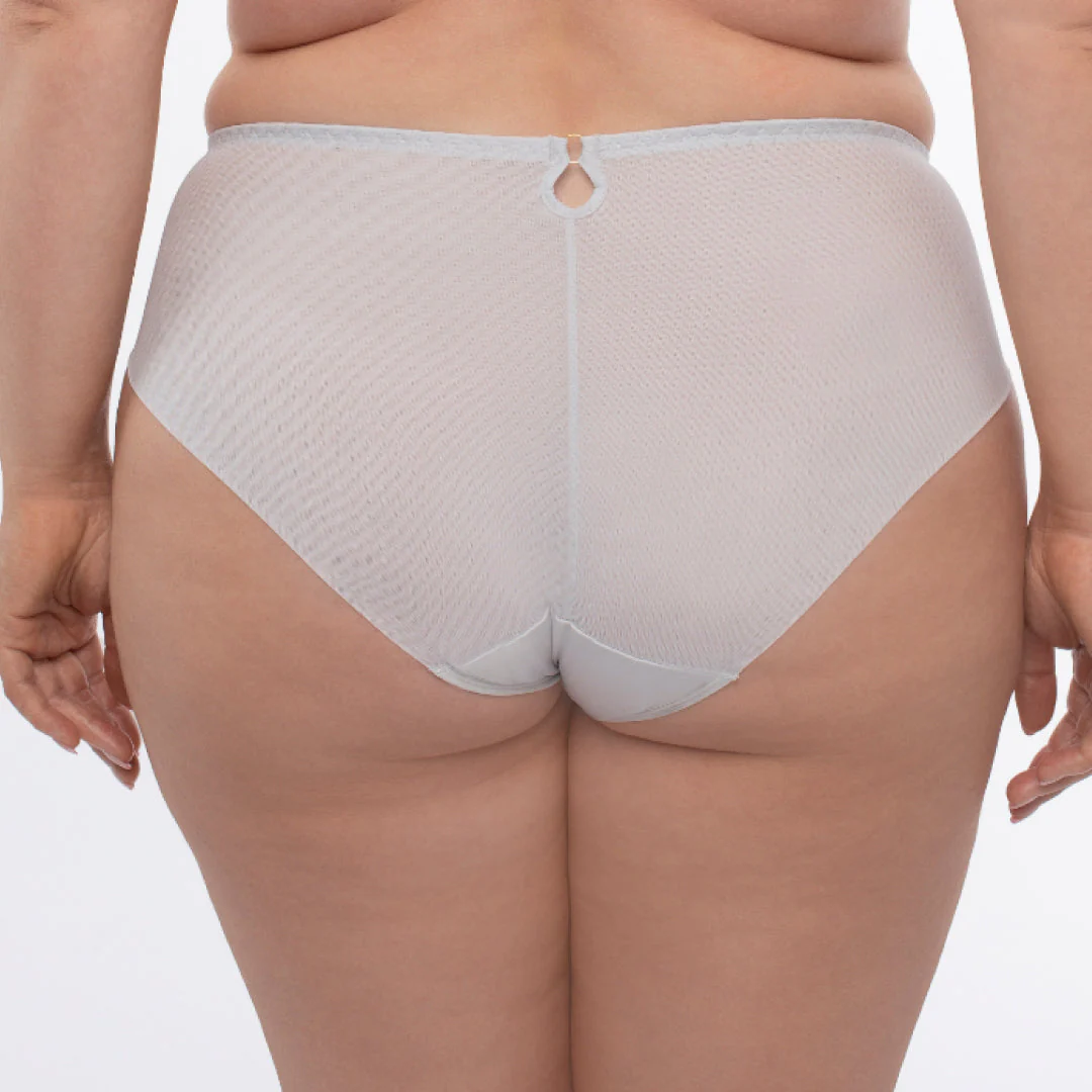 Samanta Sweet Gray Sheer Mesh Tulle Embroidered Brief Panty - Image 2