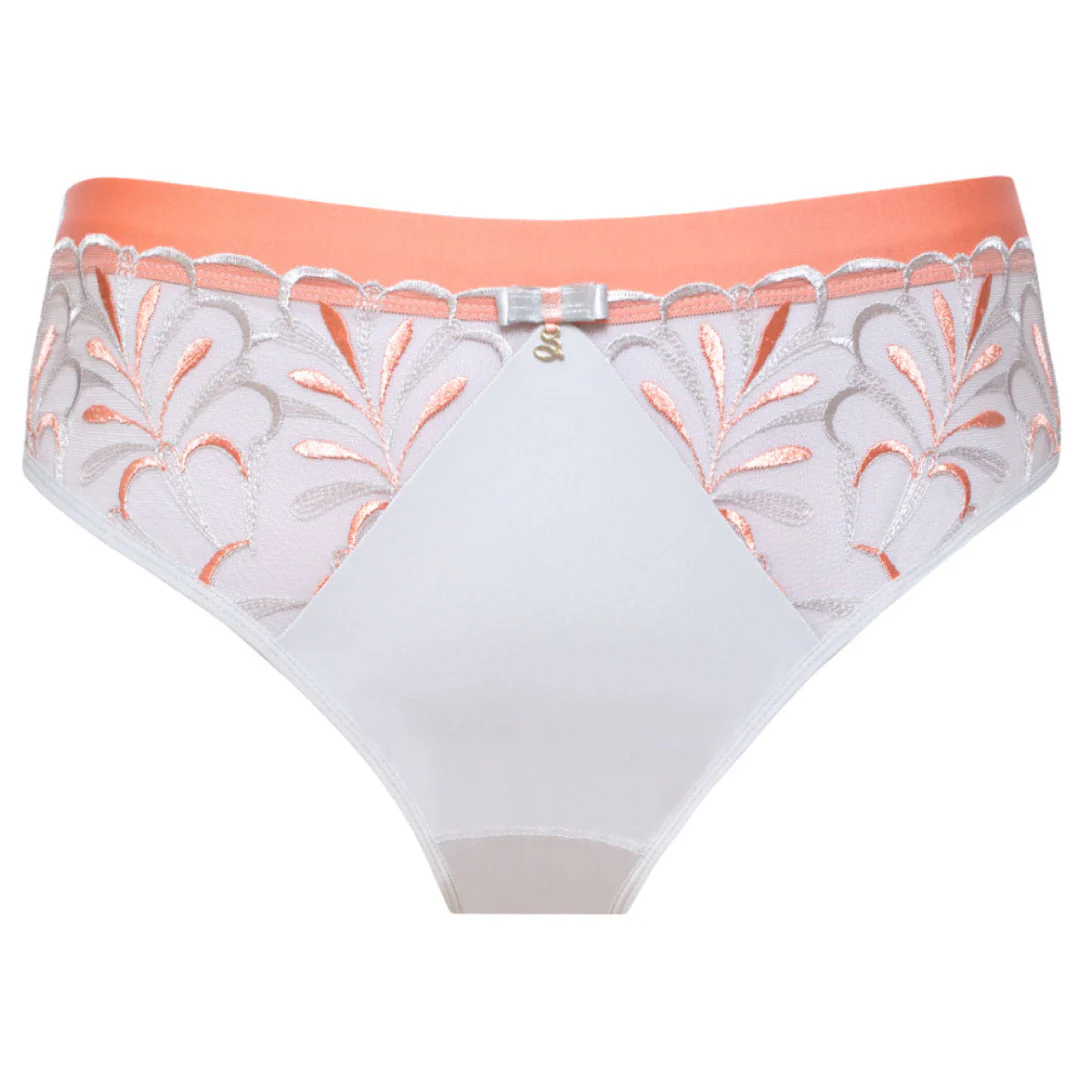 Samanta Sweet Gray Sheer Mesh Tulle Embroidered Brief Panty - Image 3