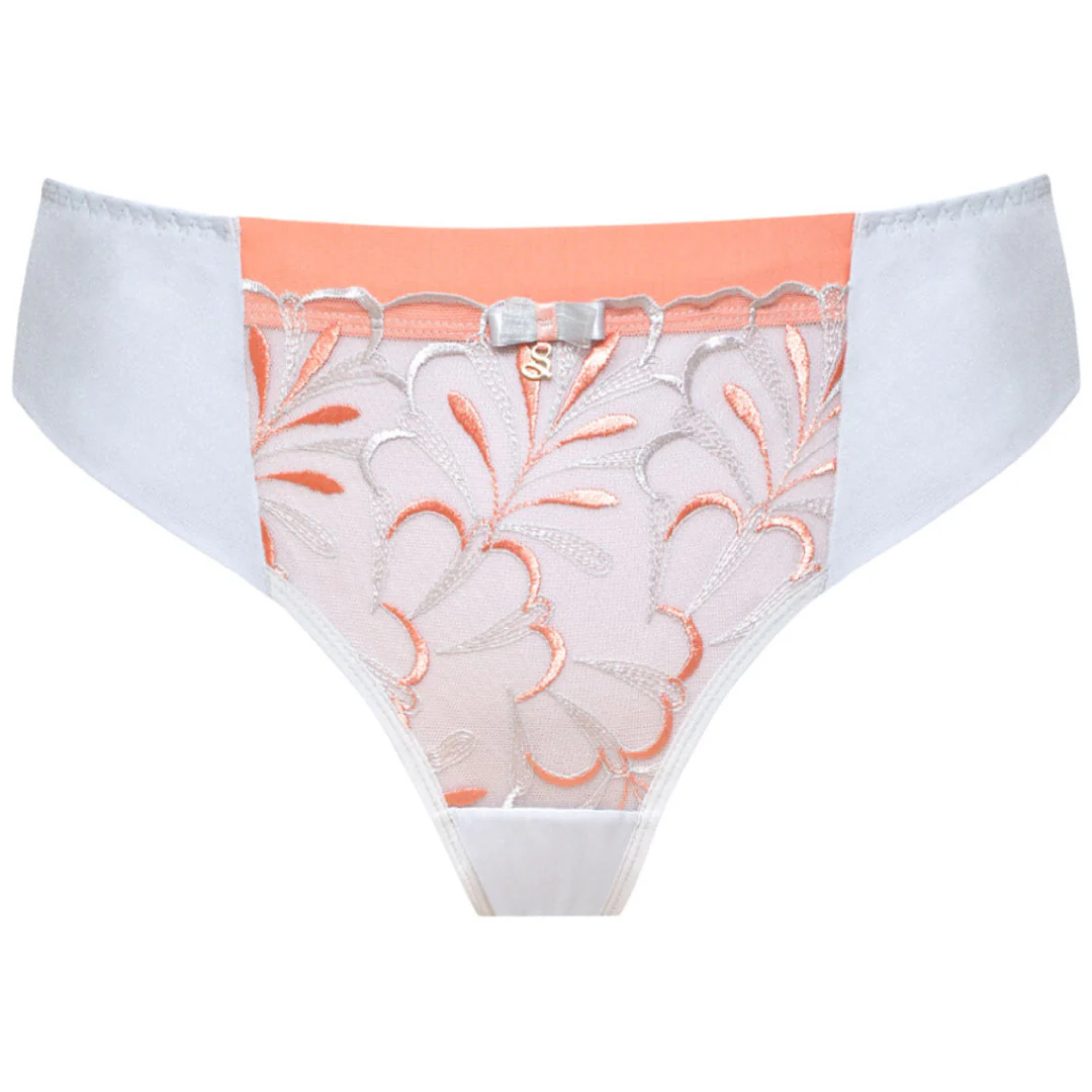 Samanta Sweet Gray Sheer Mesh Tulle Embroidered Tanga Panty - Image 3
