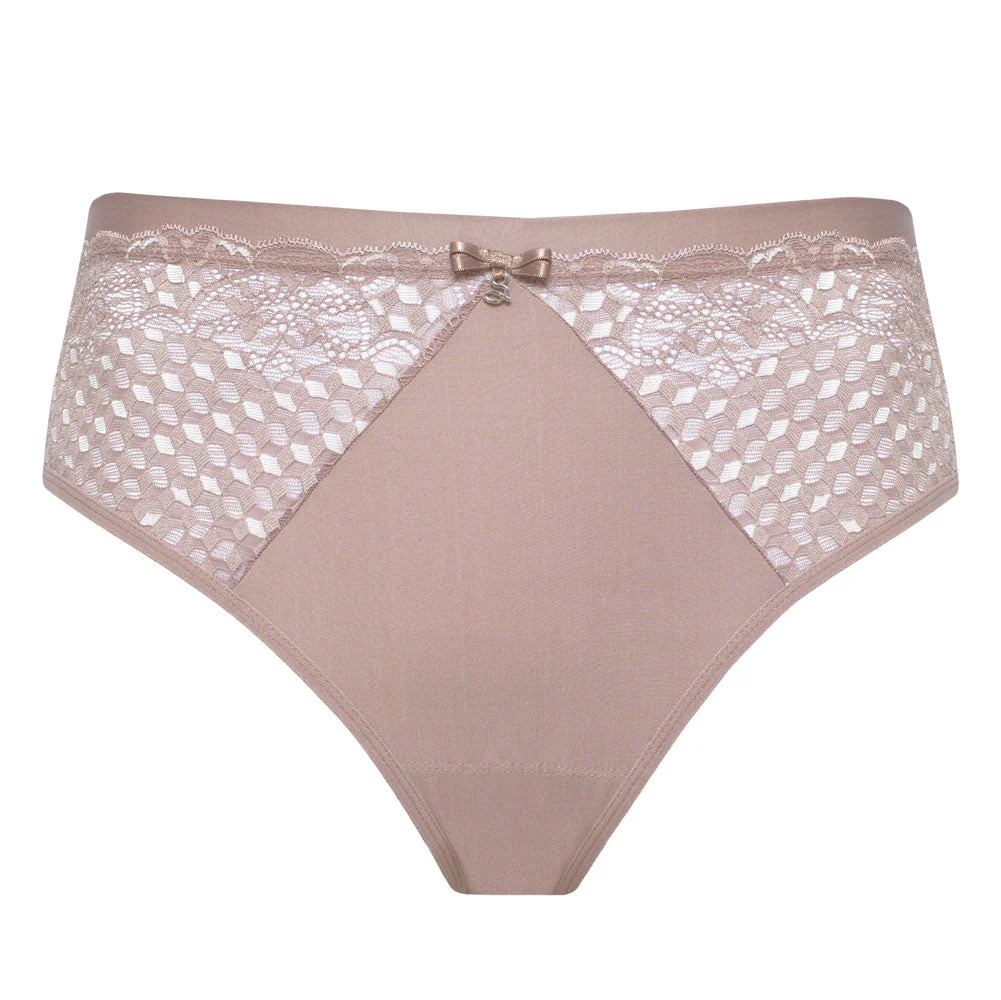 Samanta Rosalia Latte Sheer Mesh Tulle Lace Brief Panty - Image 3