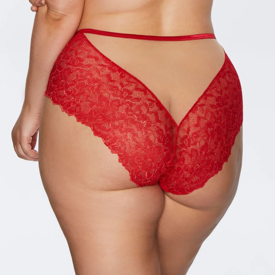Kinga Mind Love Soft Lace High Waist Brief Panty - Image 2