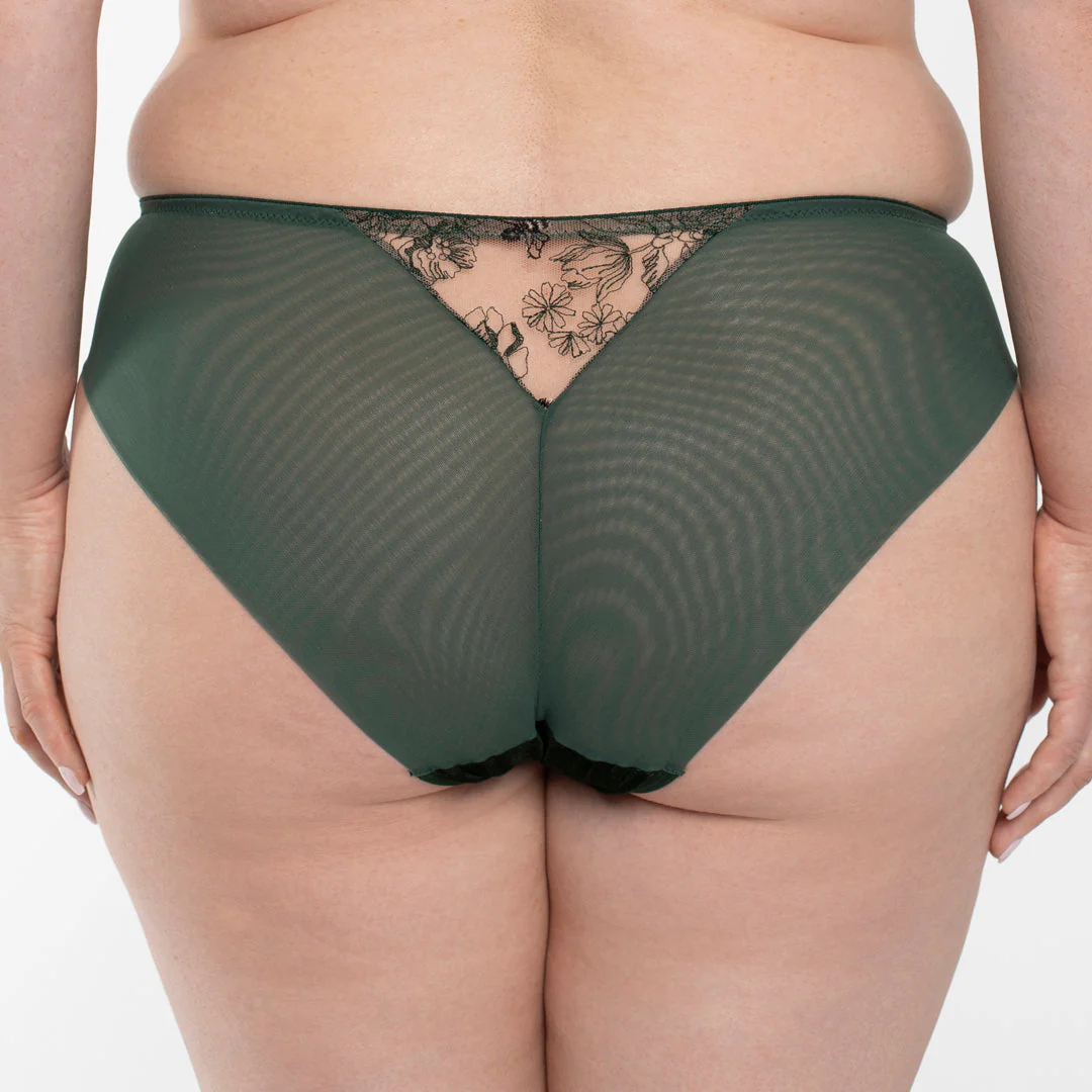 Samanta Ola Malachite Velvet Sheer Embroidered Brief Panty - Image 2